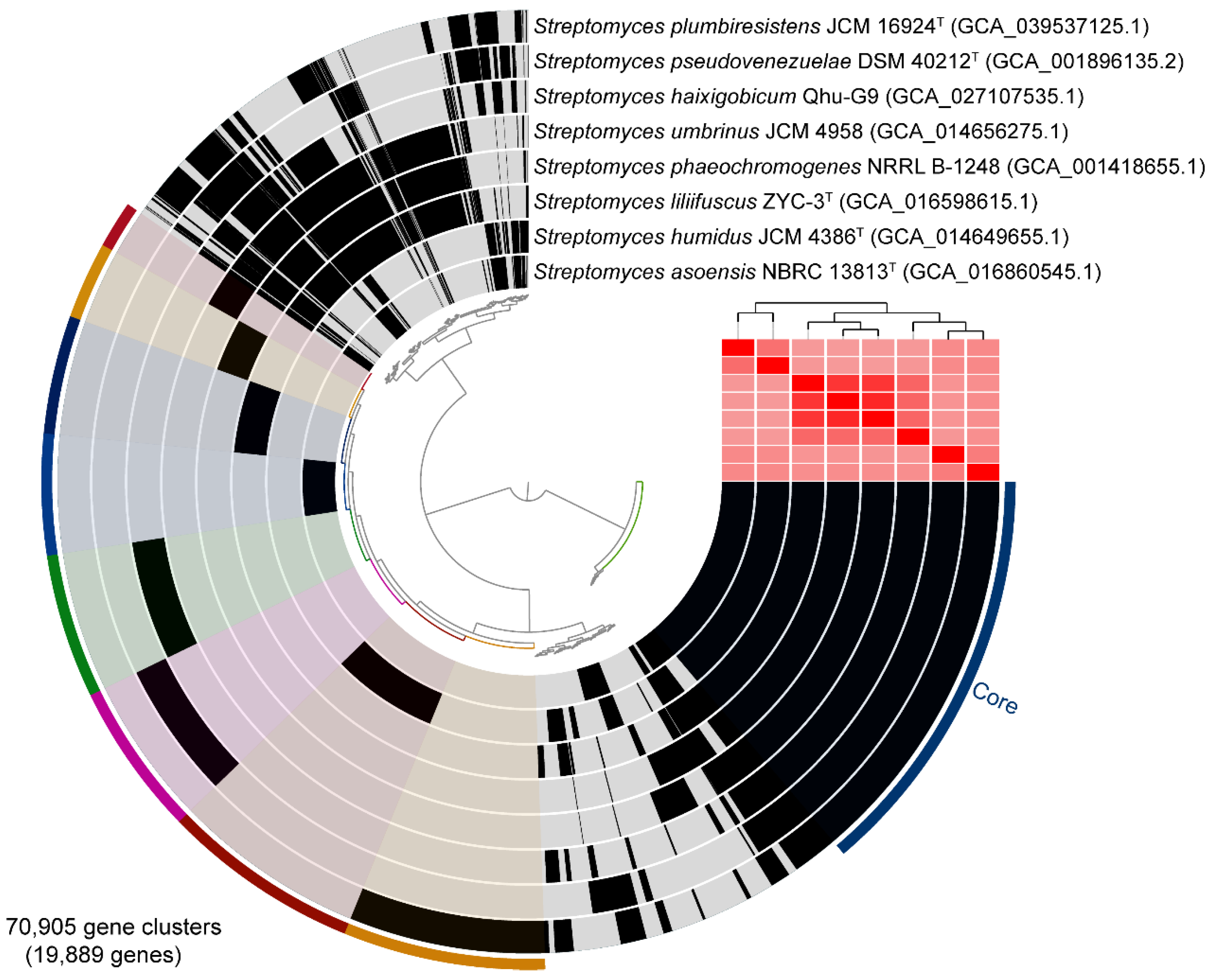 Plants 14 02135 g002