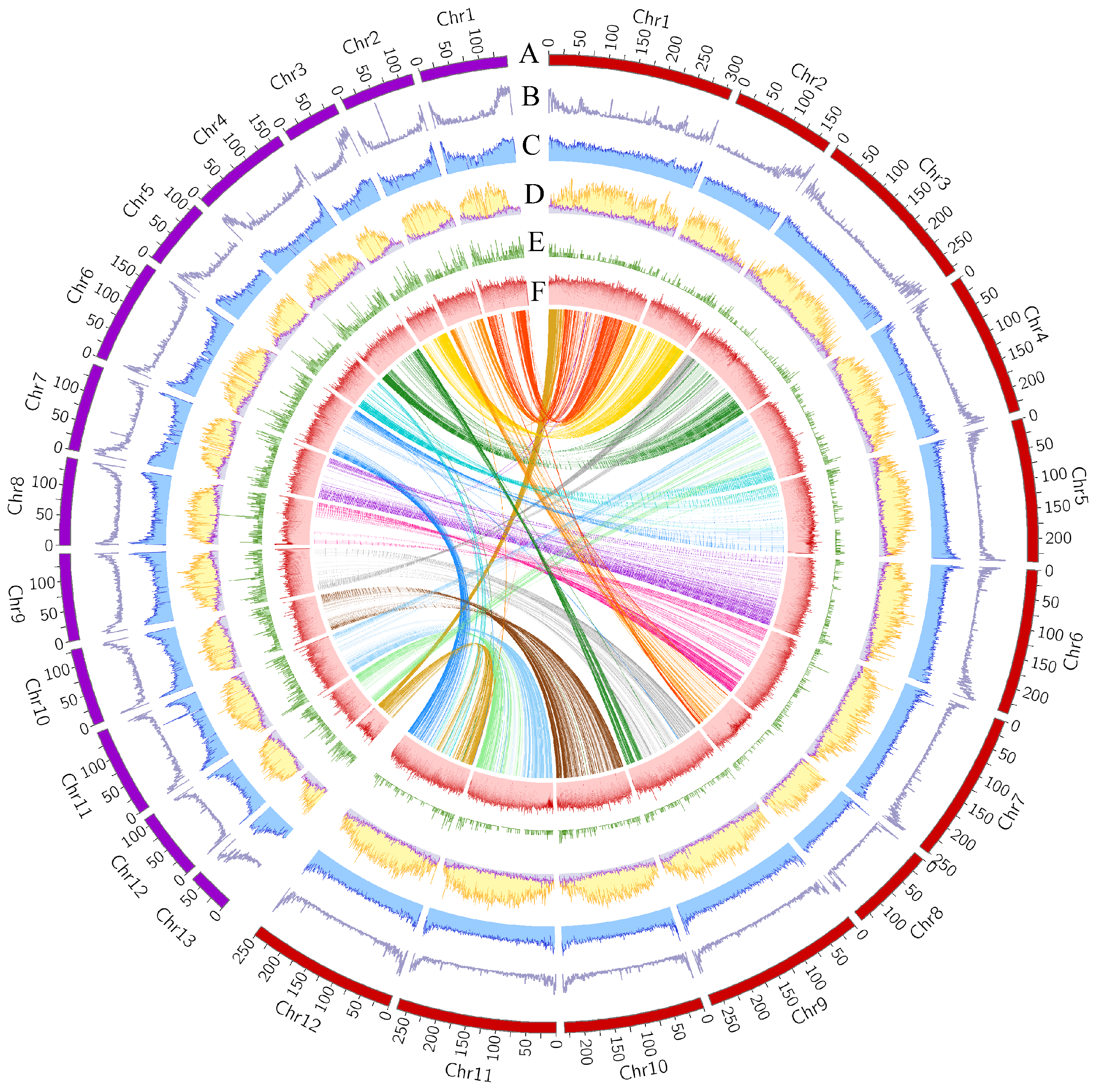 Plants 14 02136 g001