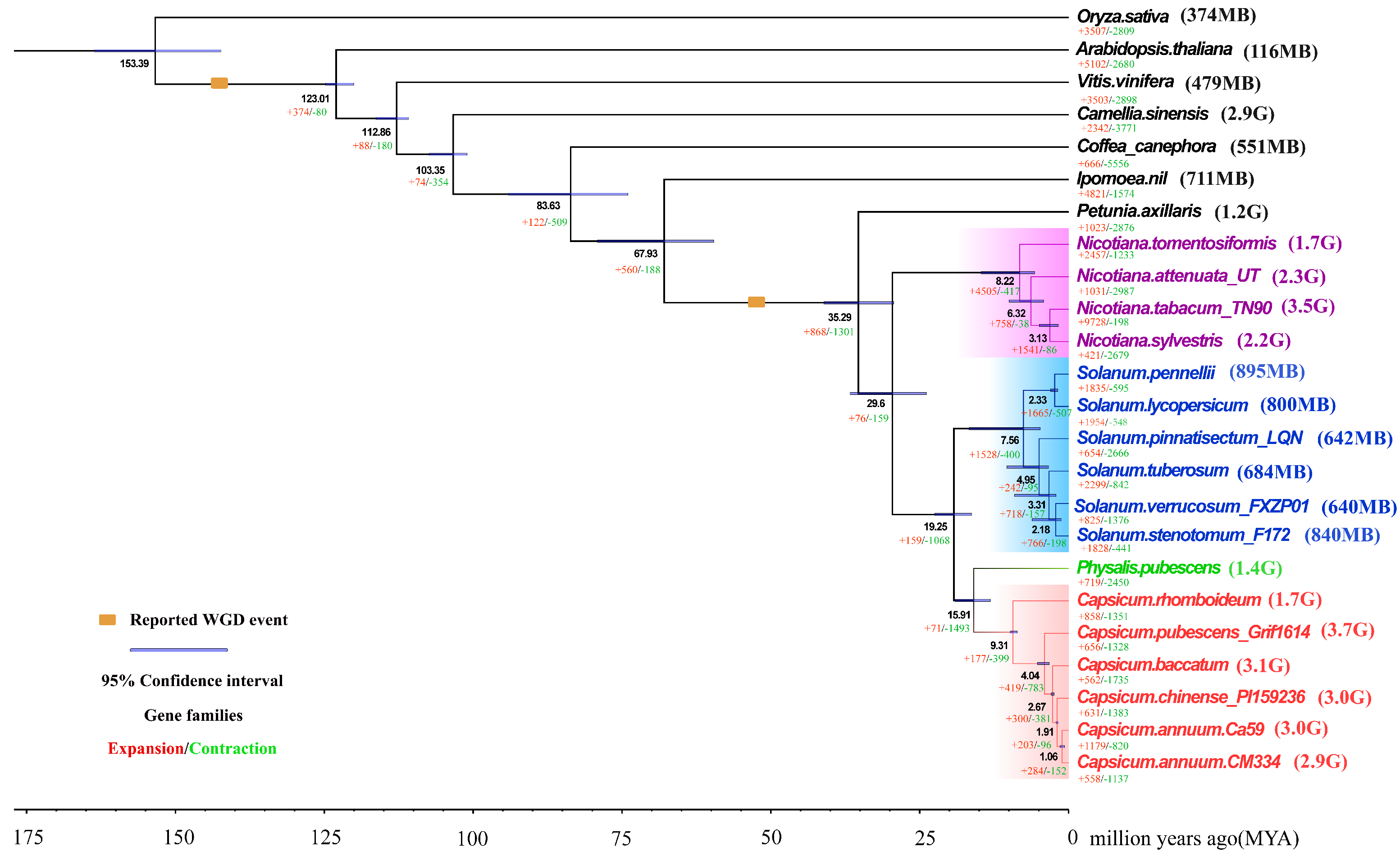 Plants 14 02136 g002