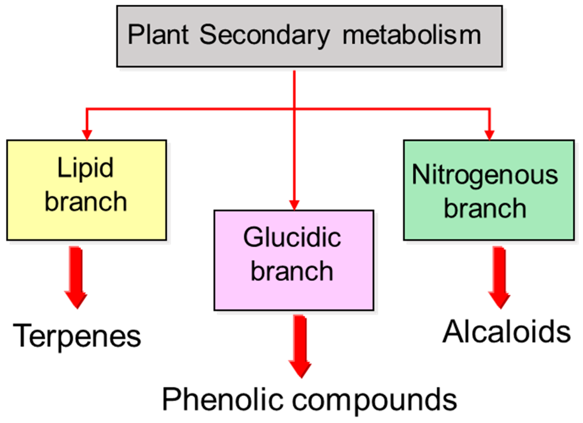 Plants 14 02146 g003