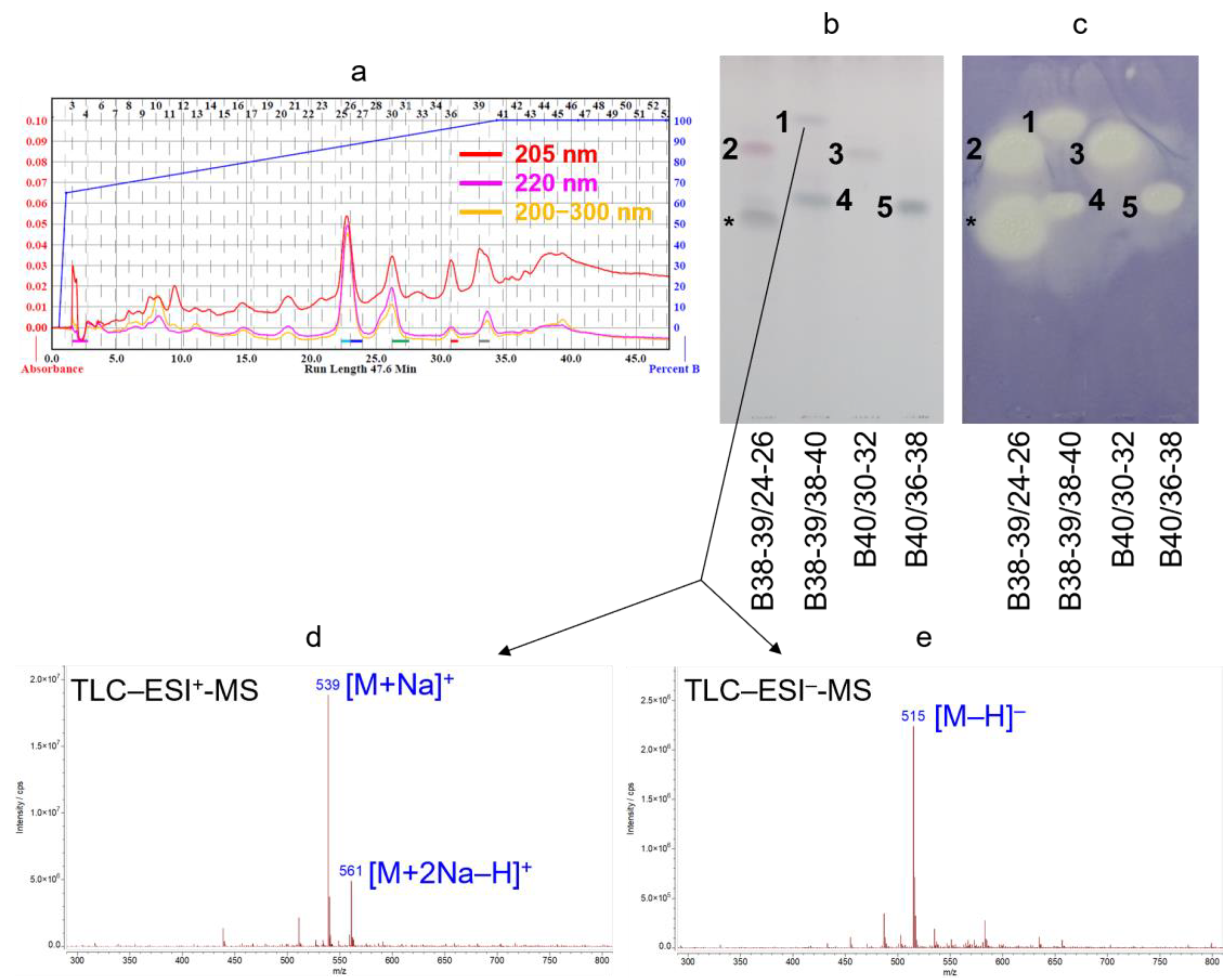 Plants 14 02152 g002
