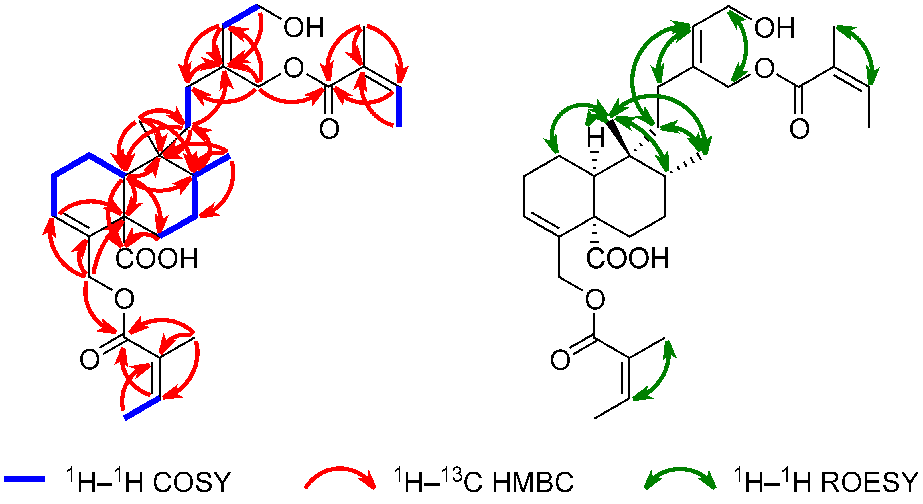 Plants 14 02152 g004