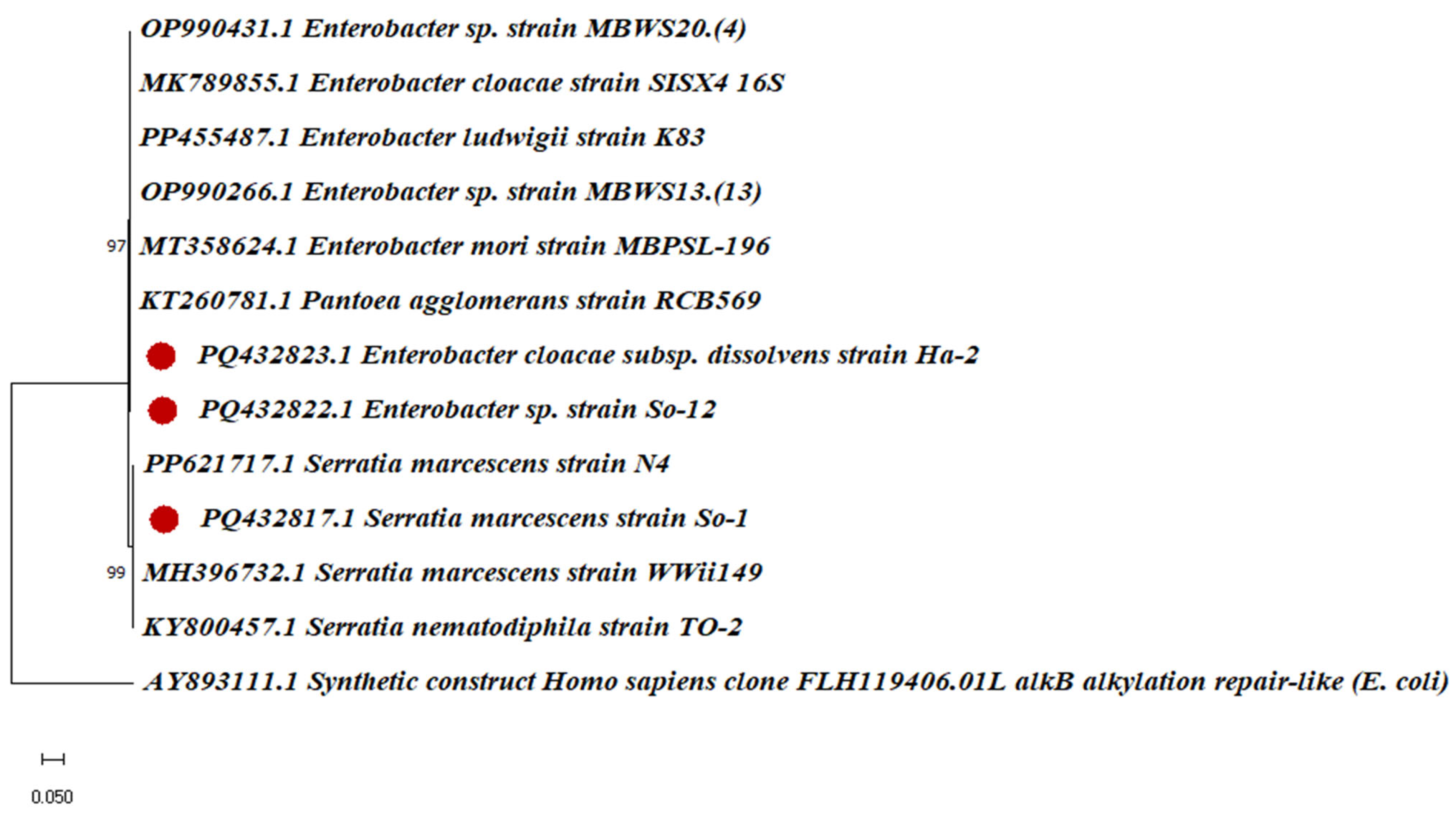 Plants 14 02154 g005