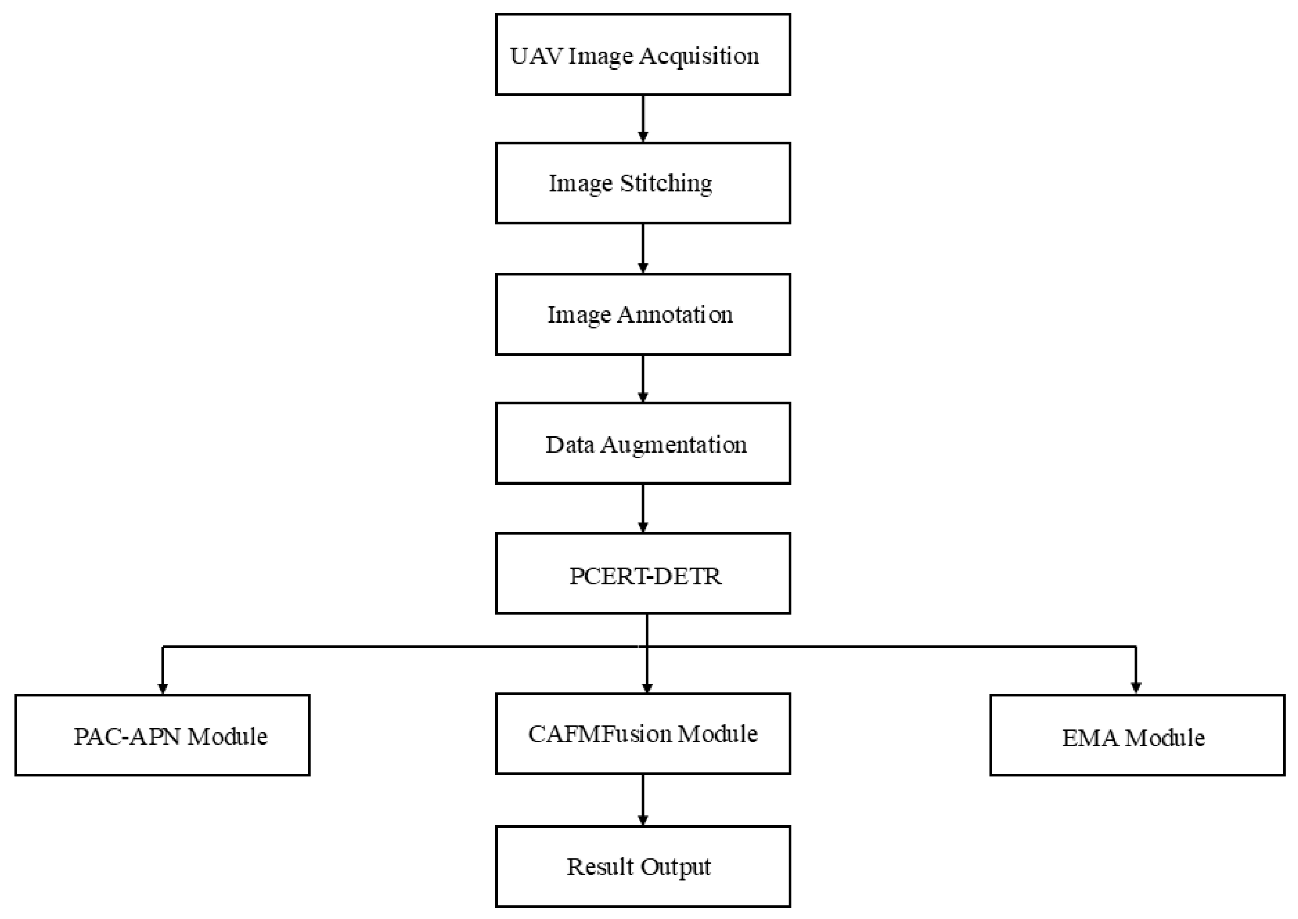 Plants 14 02156 g002