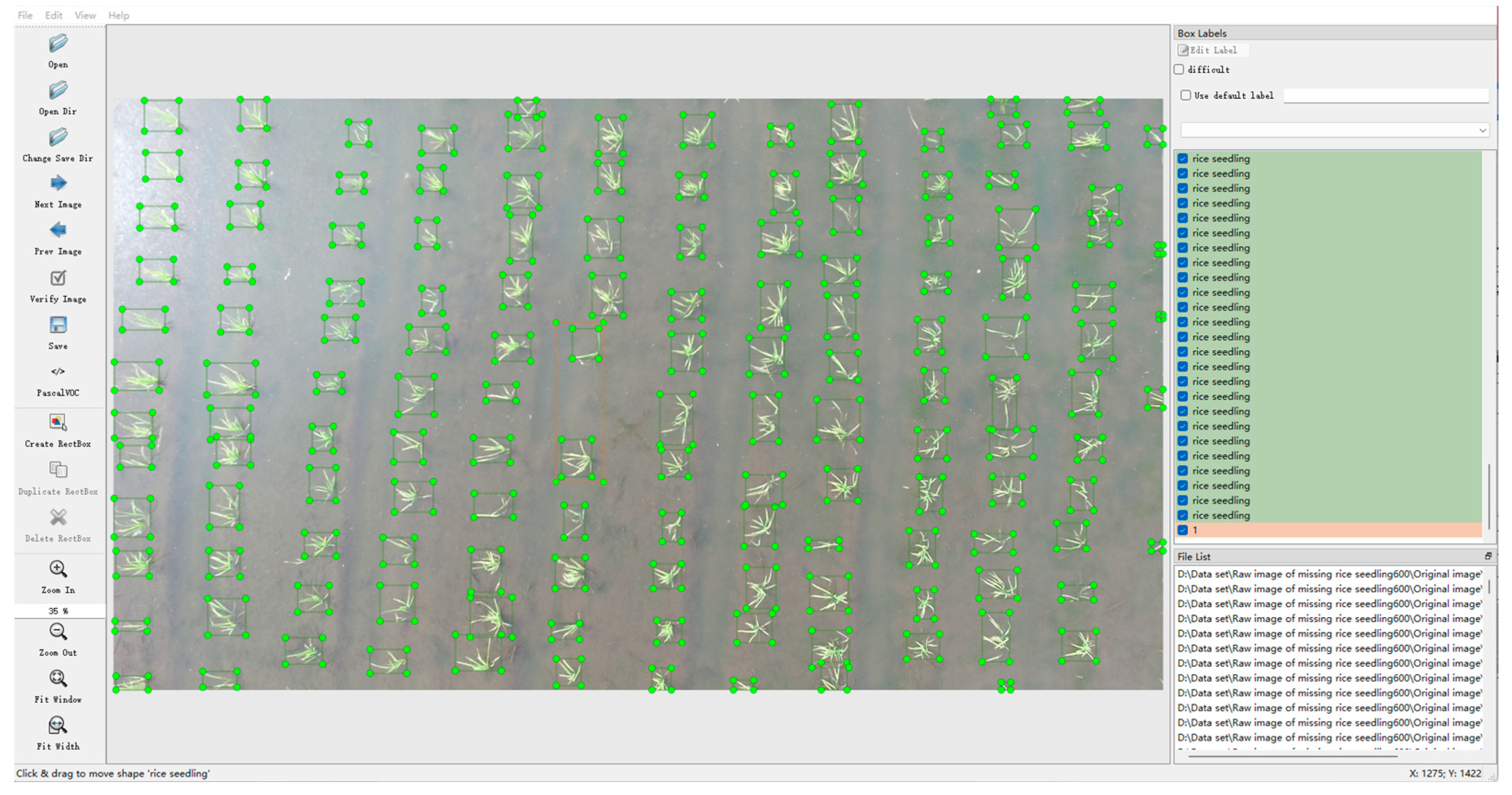 Plants 14 02156 g004