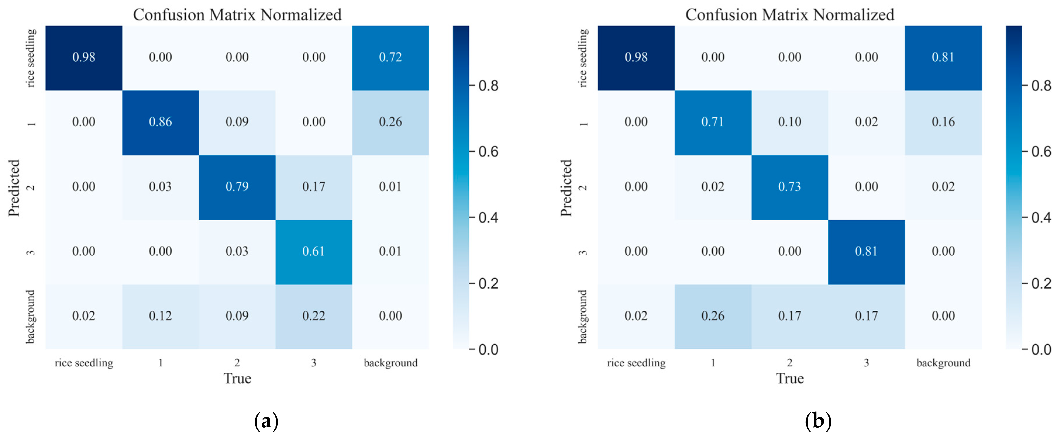 Plants 14 02156 g016