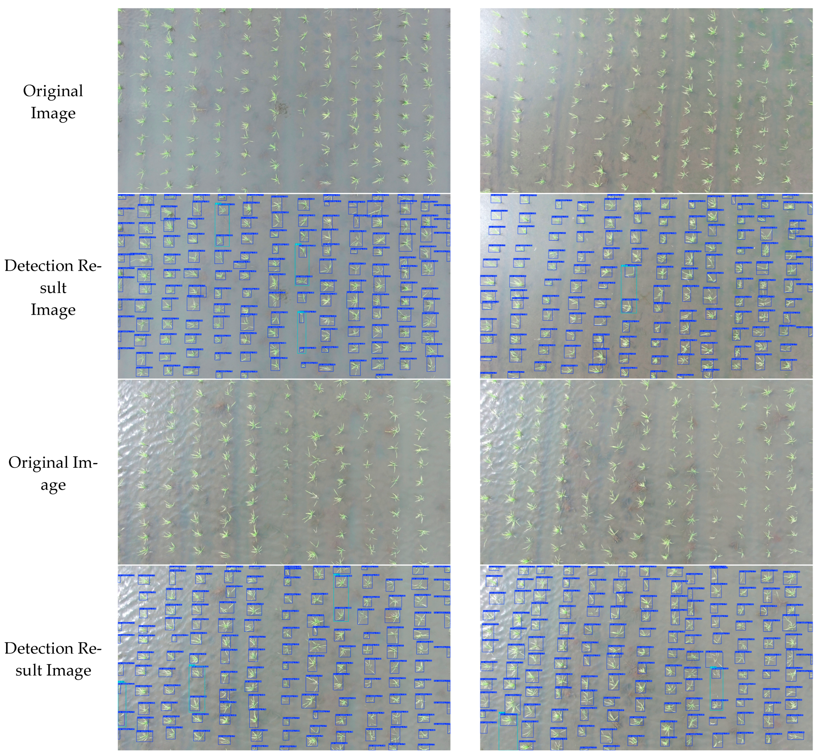 Plants 14 02156 g019