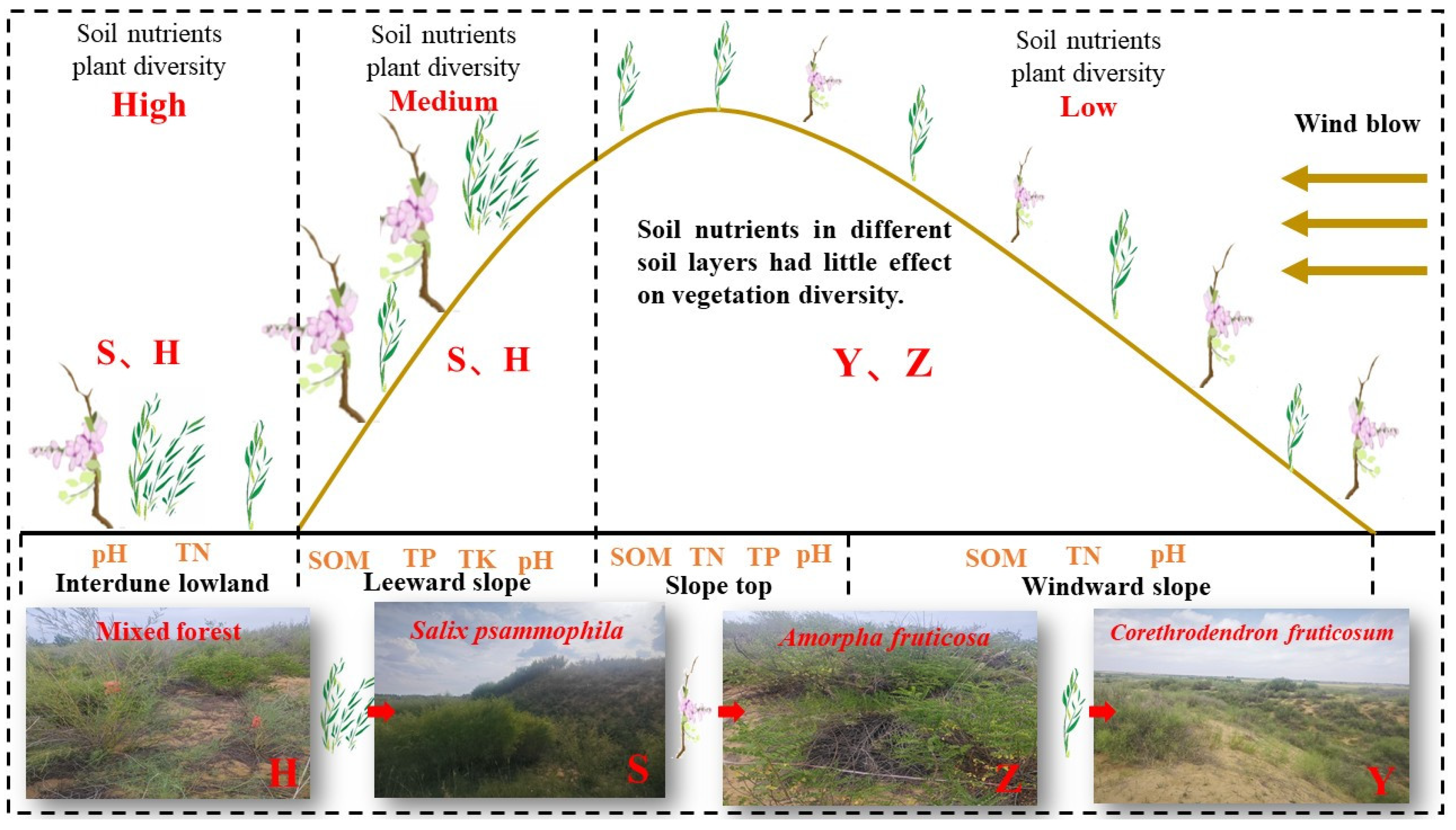 Plants 14 02163 g007