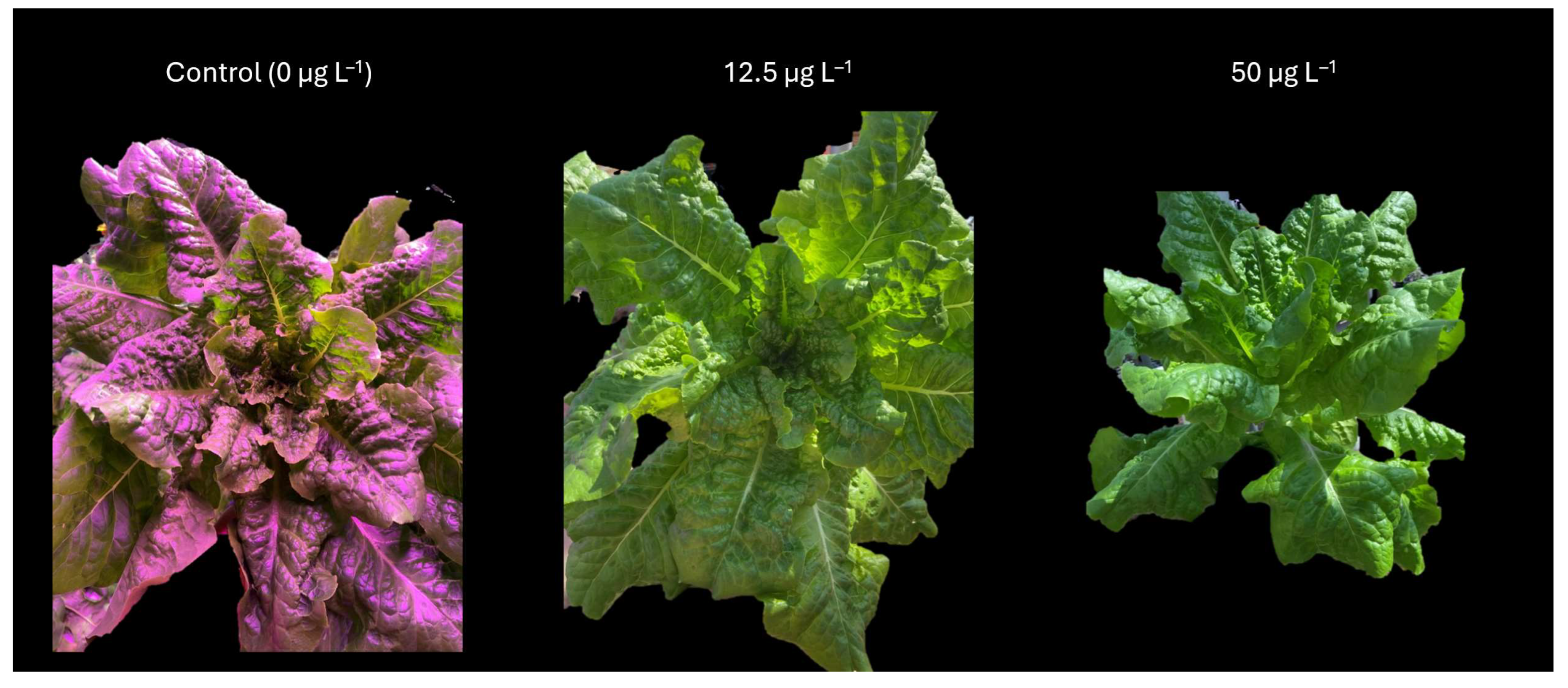 Plants 14 02165 g003