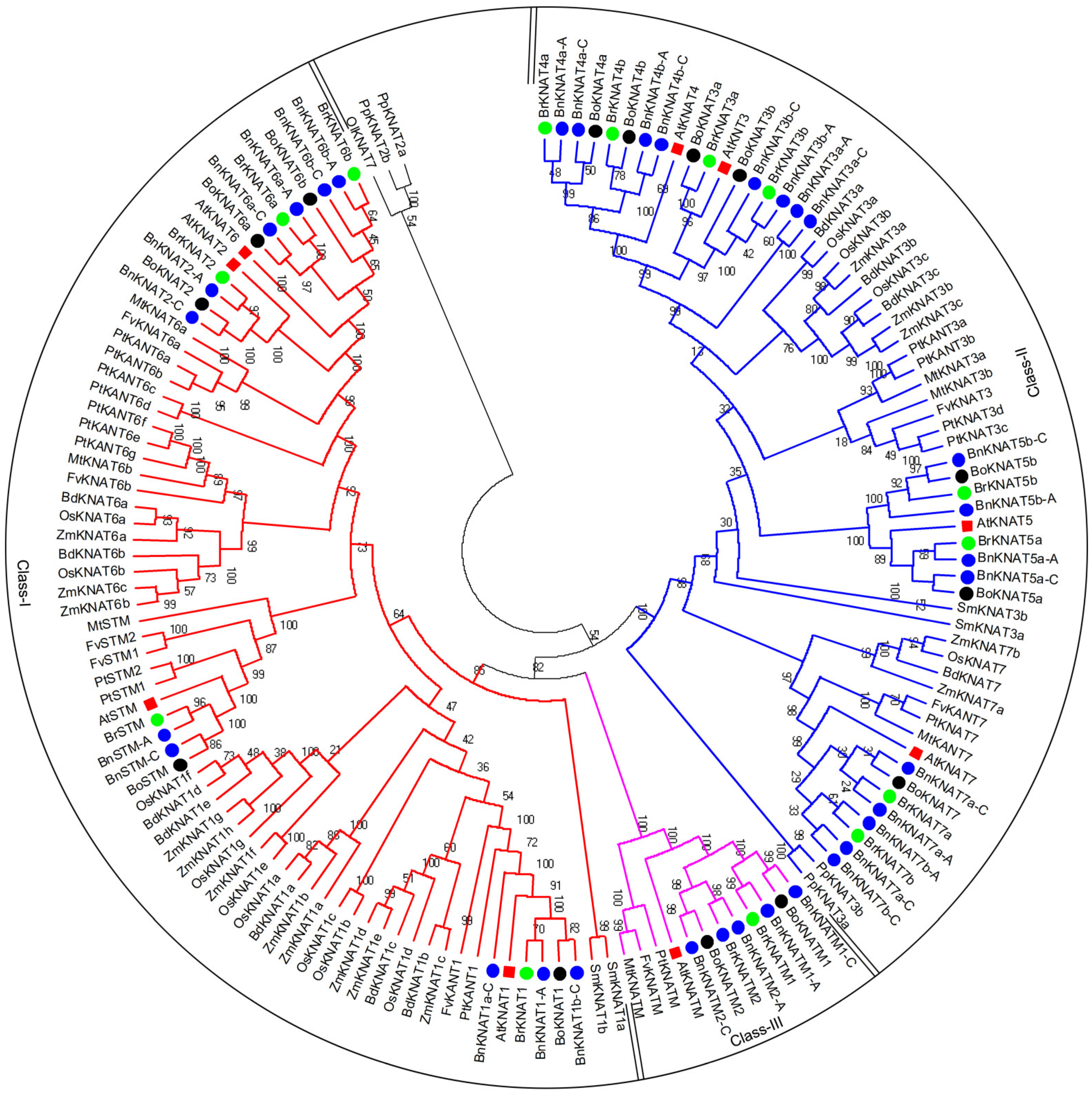 Plants 14 02167 g002