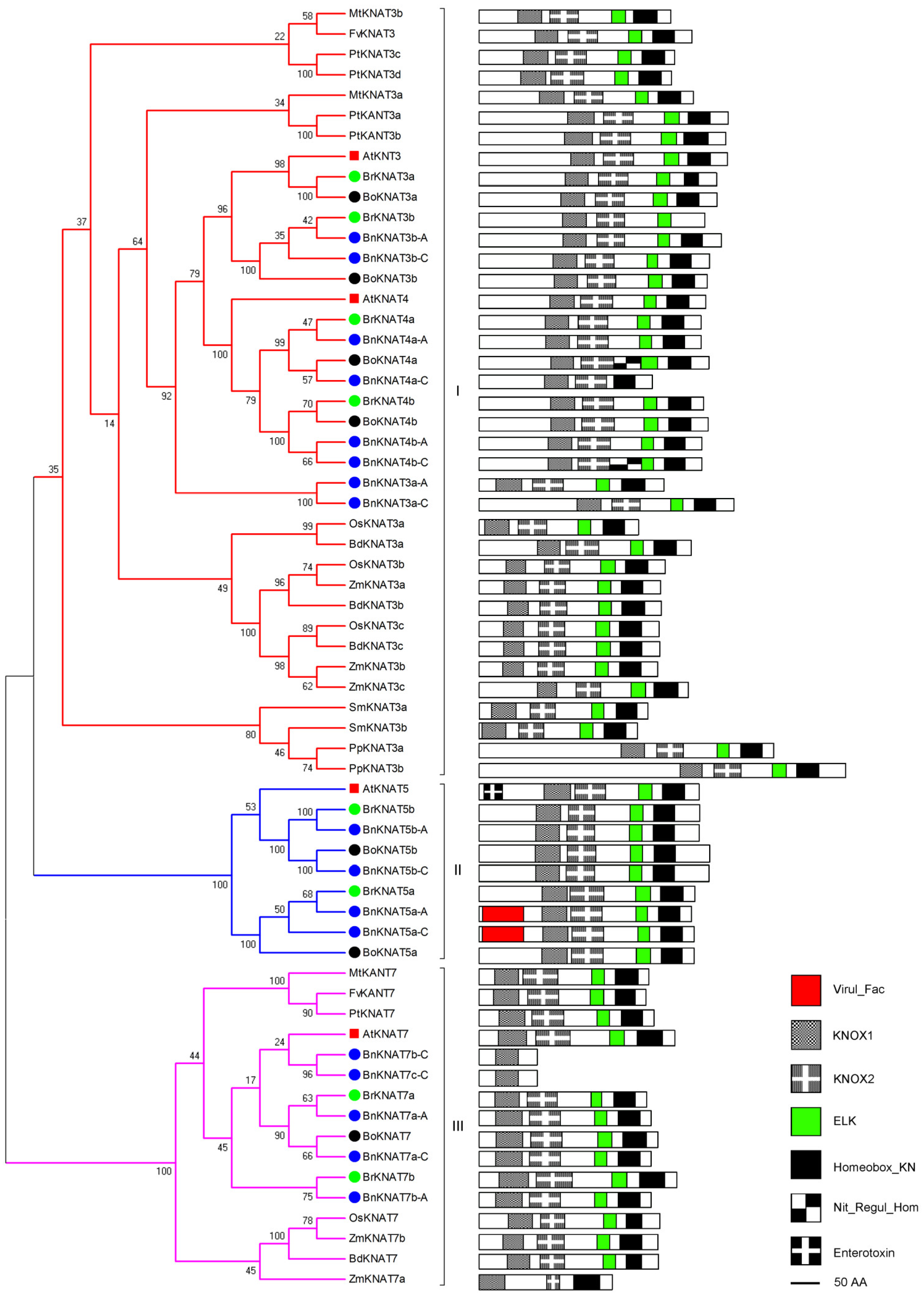 Plants 14 02167 g004