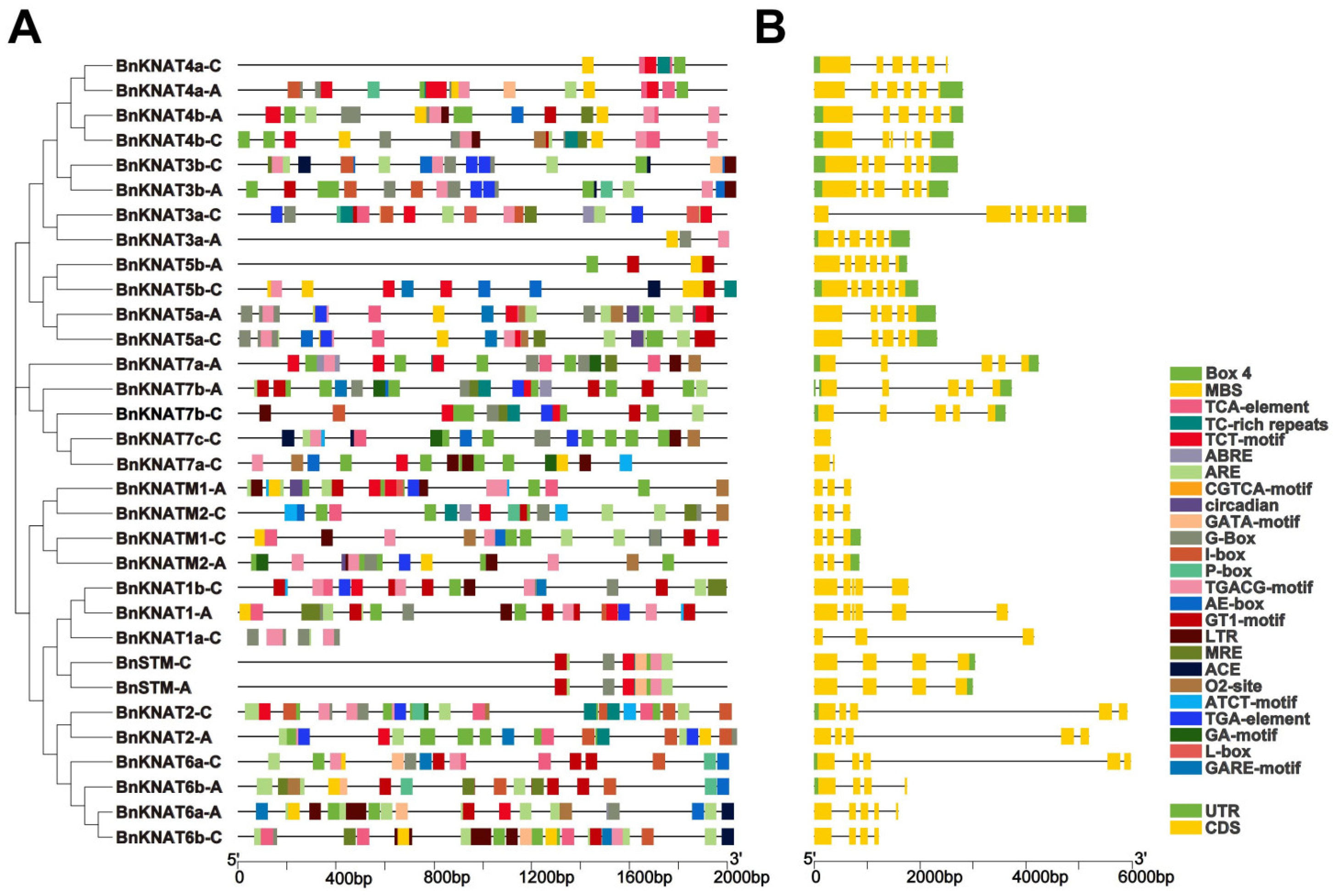Plants 14 02167 g006