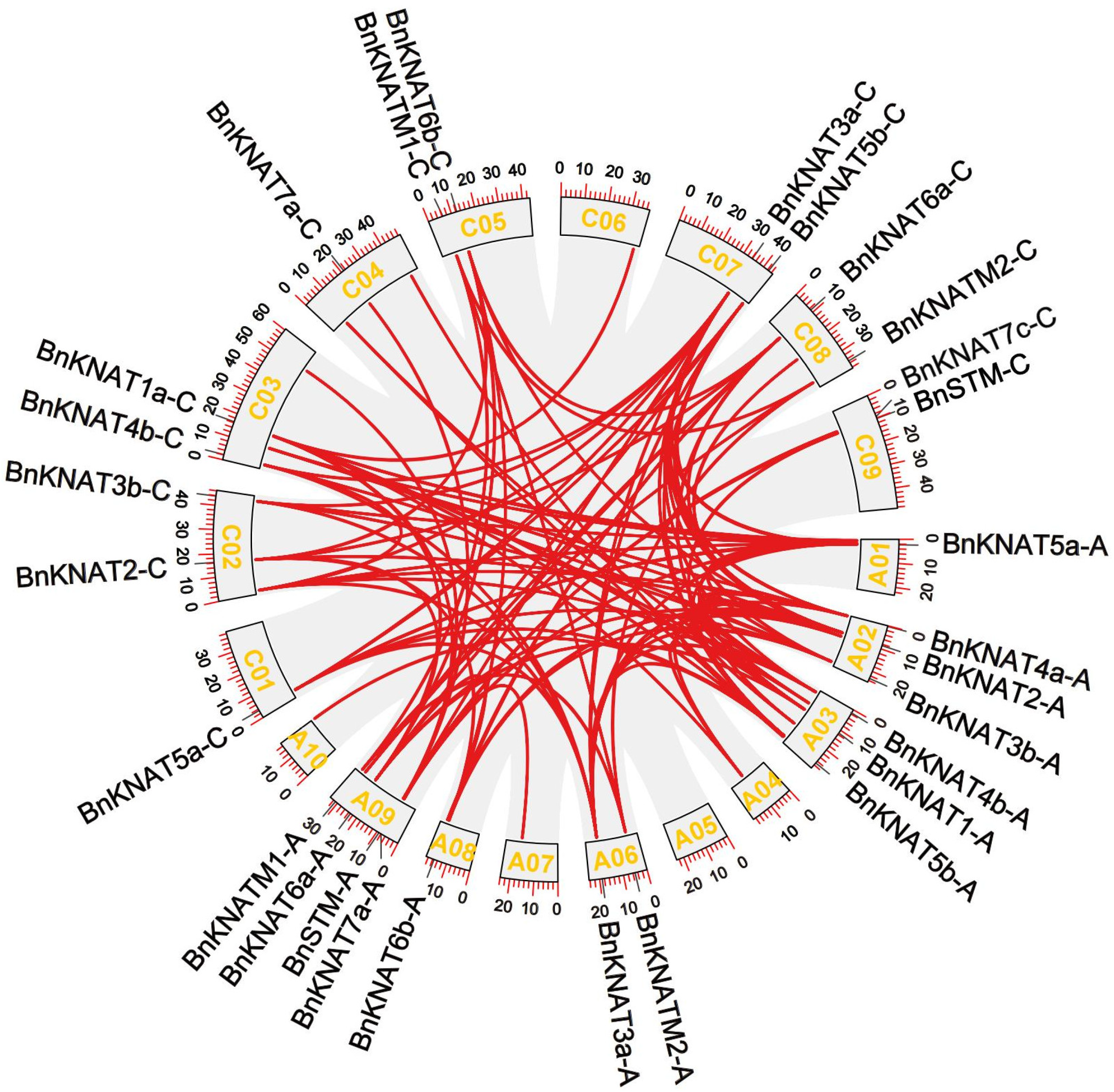 Plants 14 02167 g007