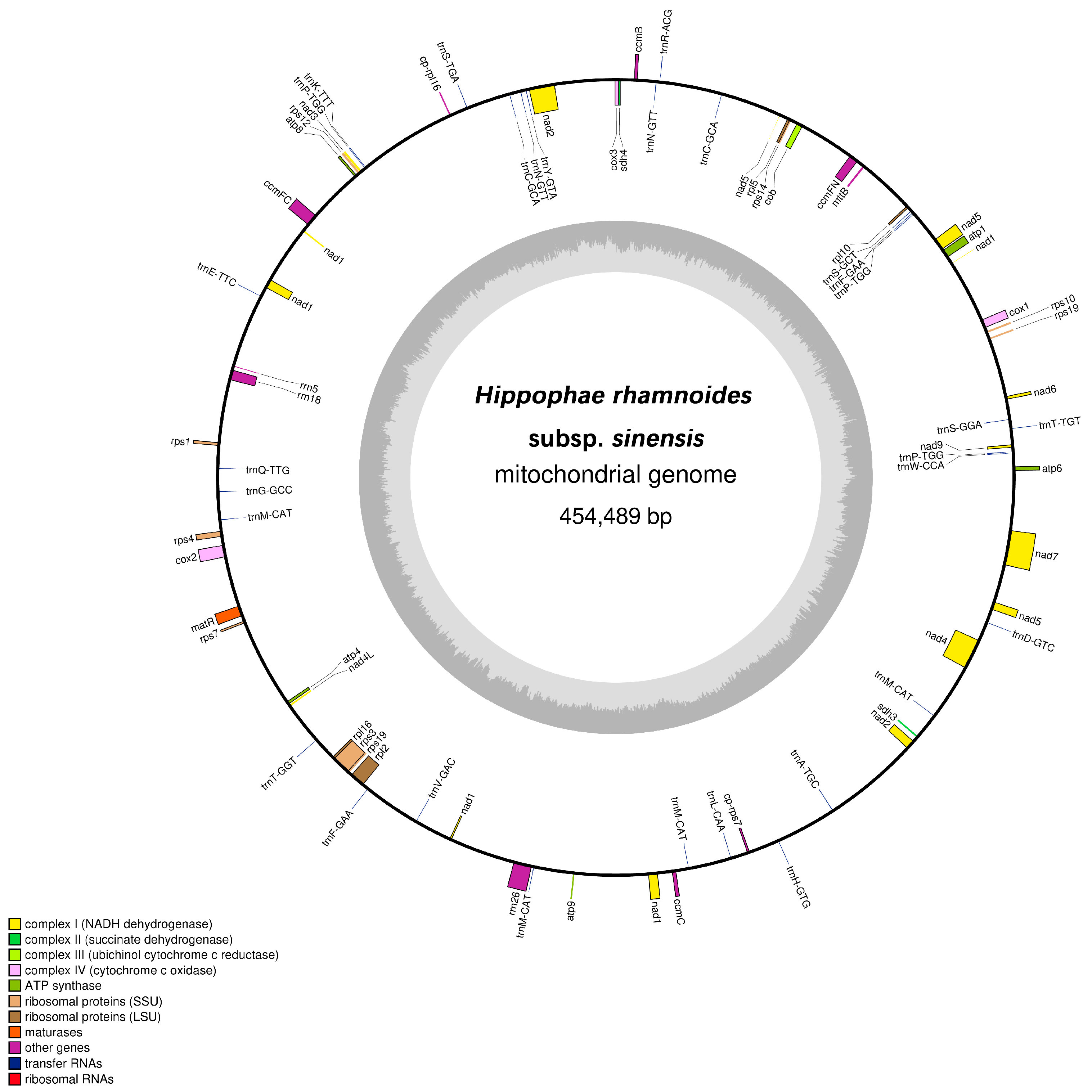 Plants 14 02170 g001