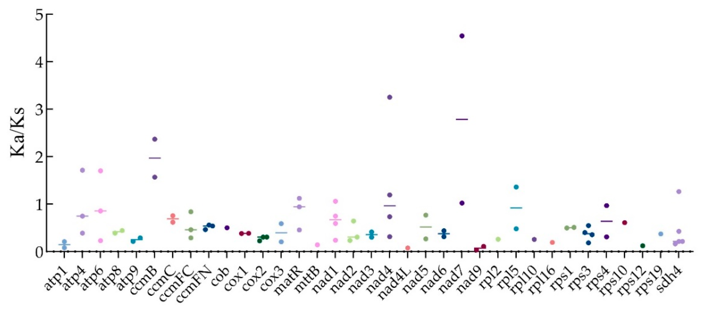Plants 14 02170 g005