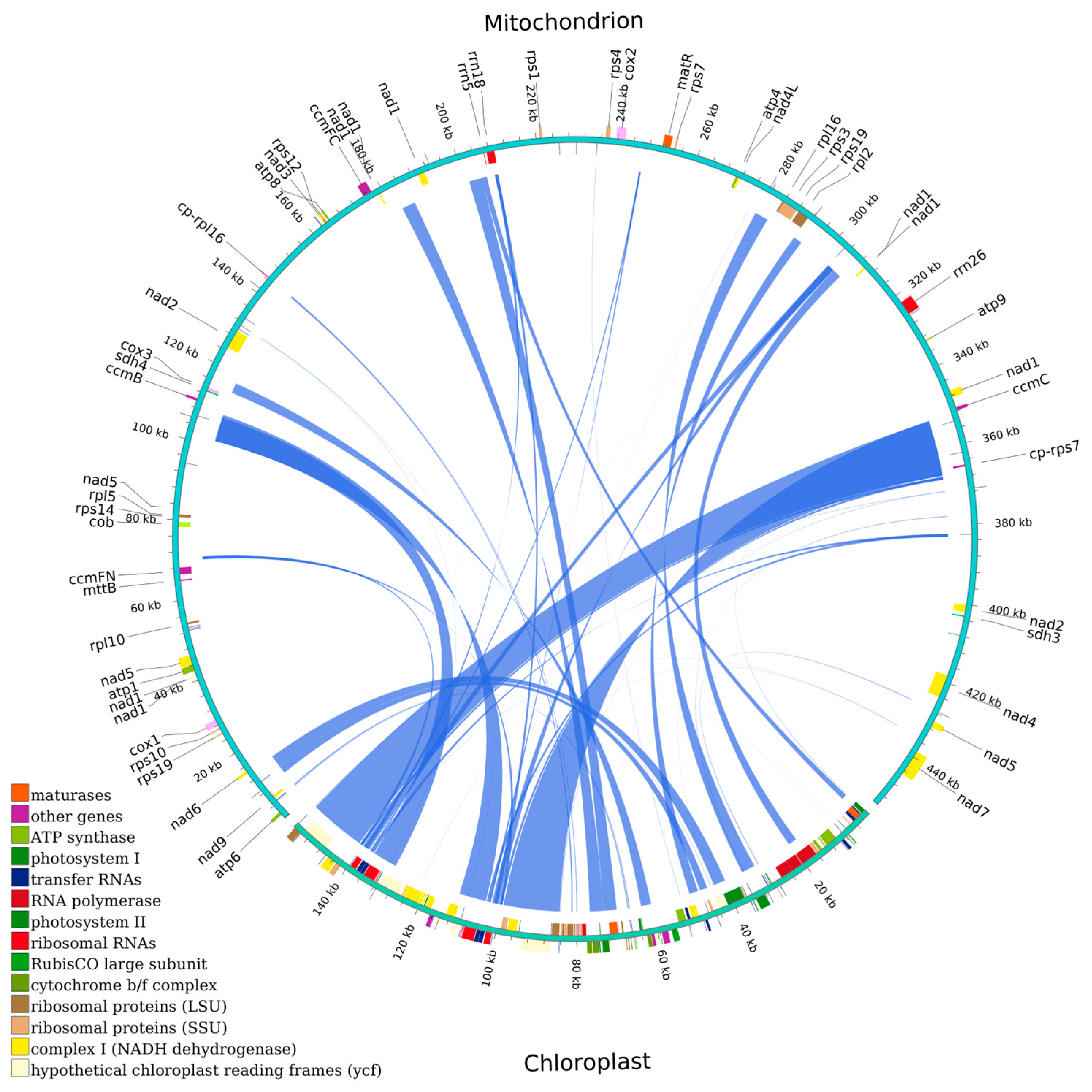 Plants 14 02170 g006