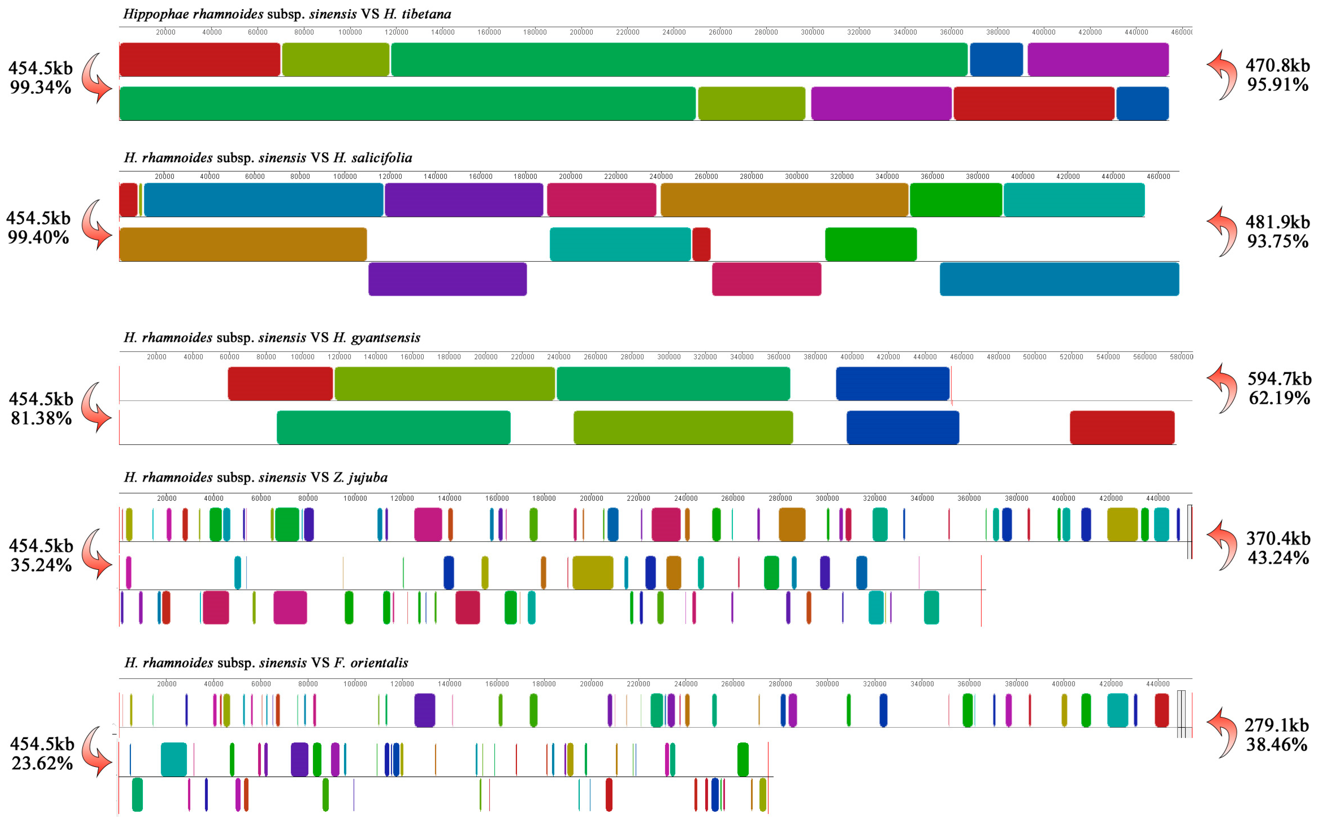 Plants 14 02170 g007