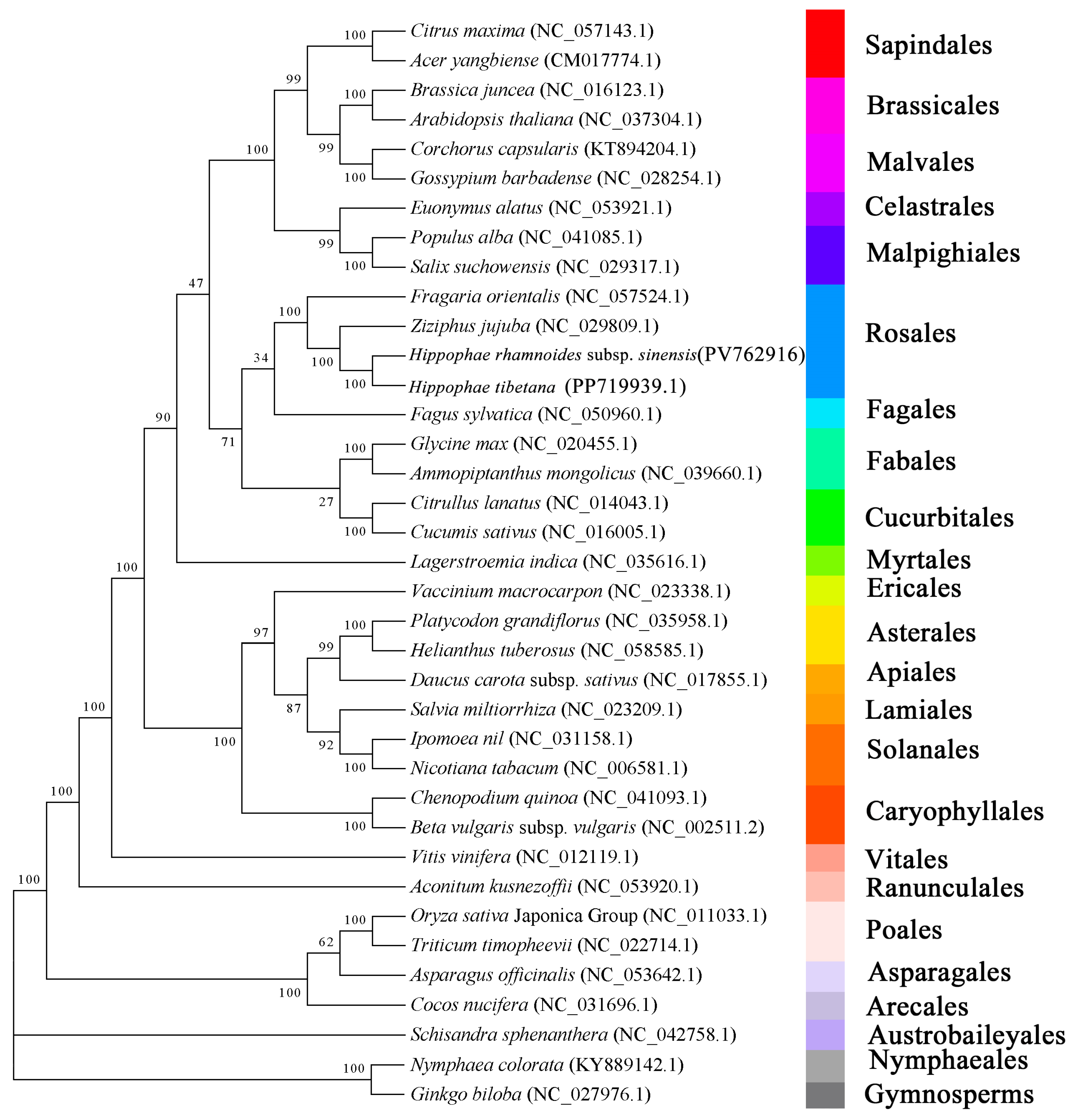 Plants 14 02170 g008