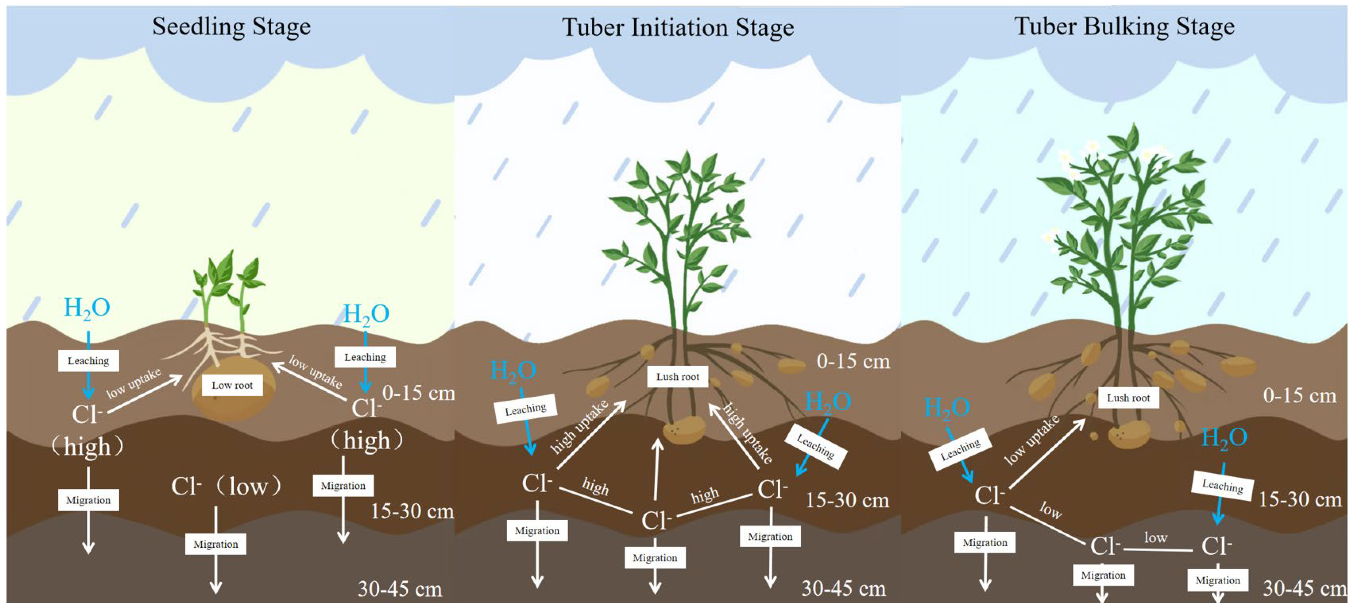 Plants 14 02171 g010