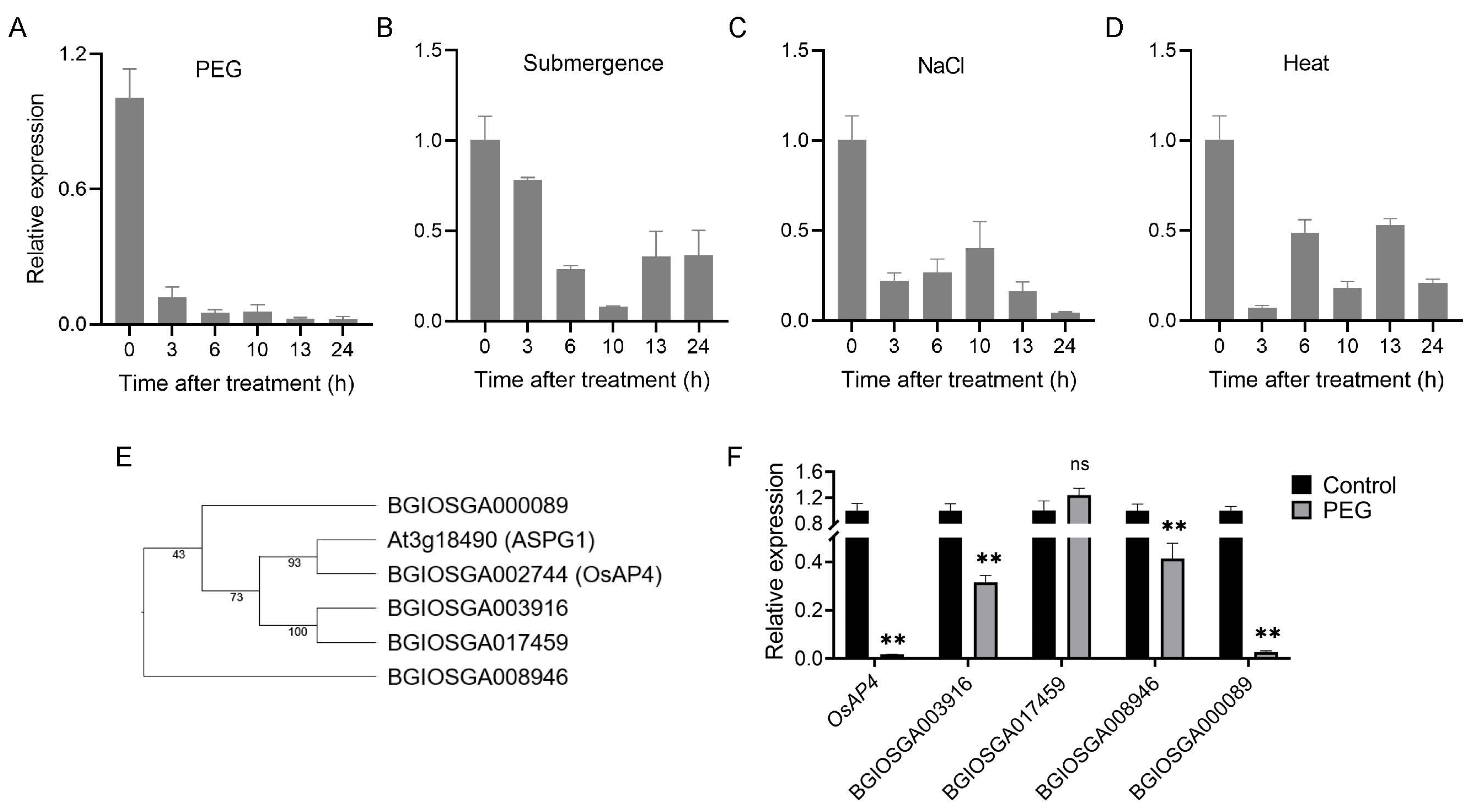 Plants 14 02174 g001