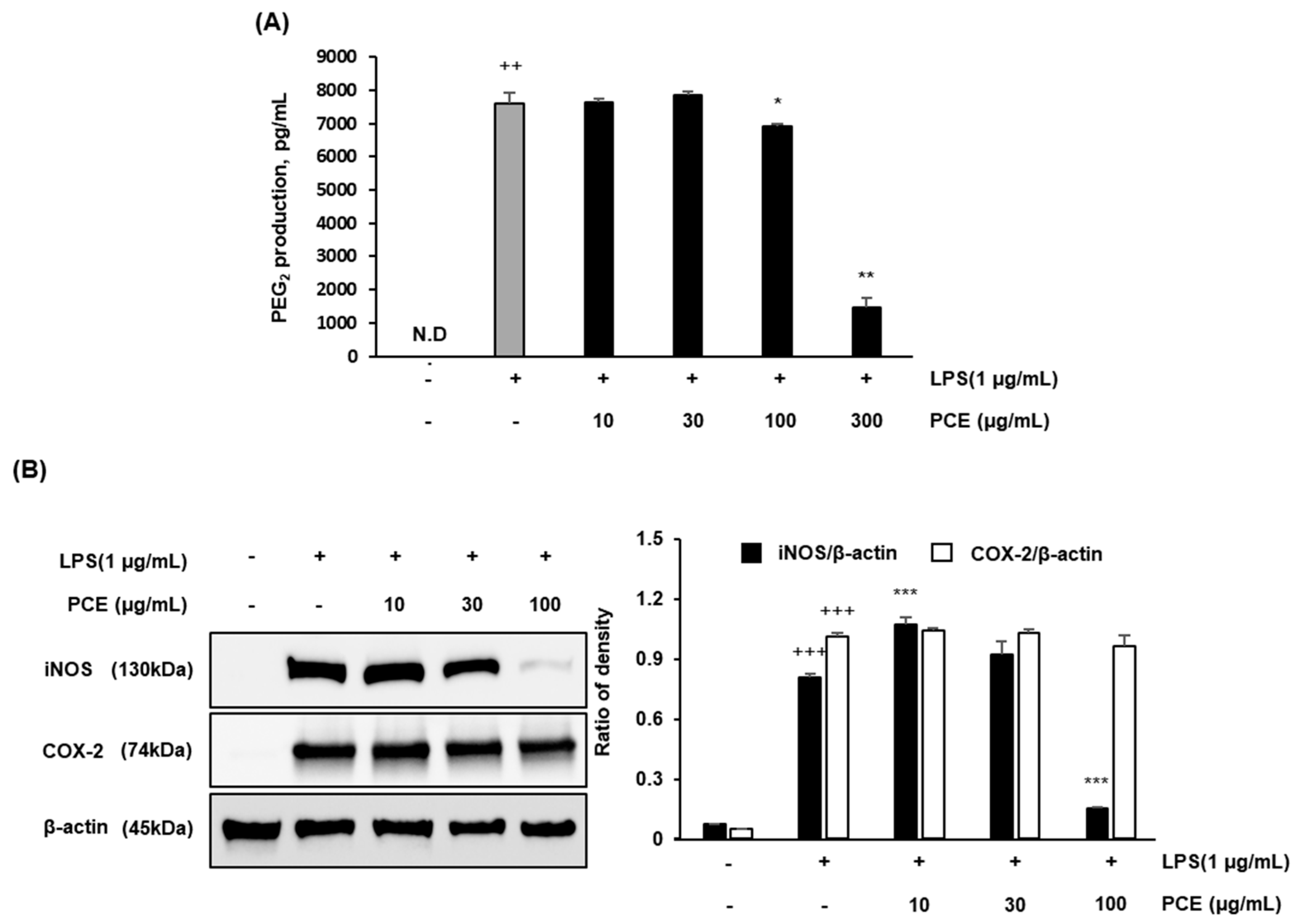 Plants 14 02178 g003