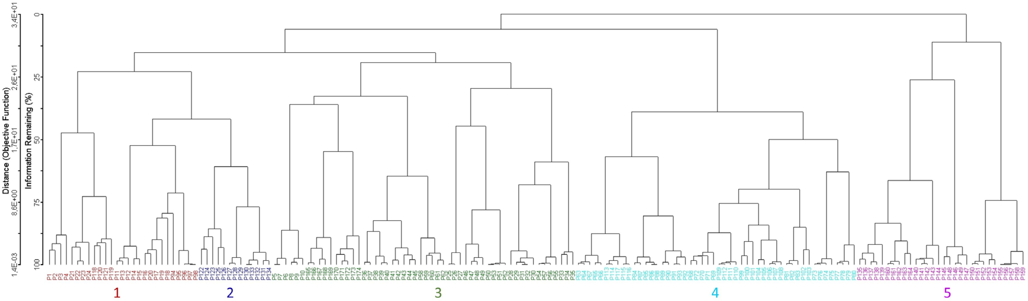 Plants 14 02187 g001