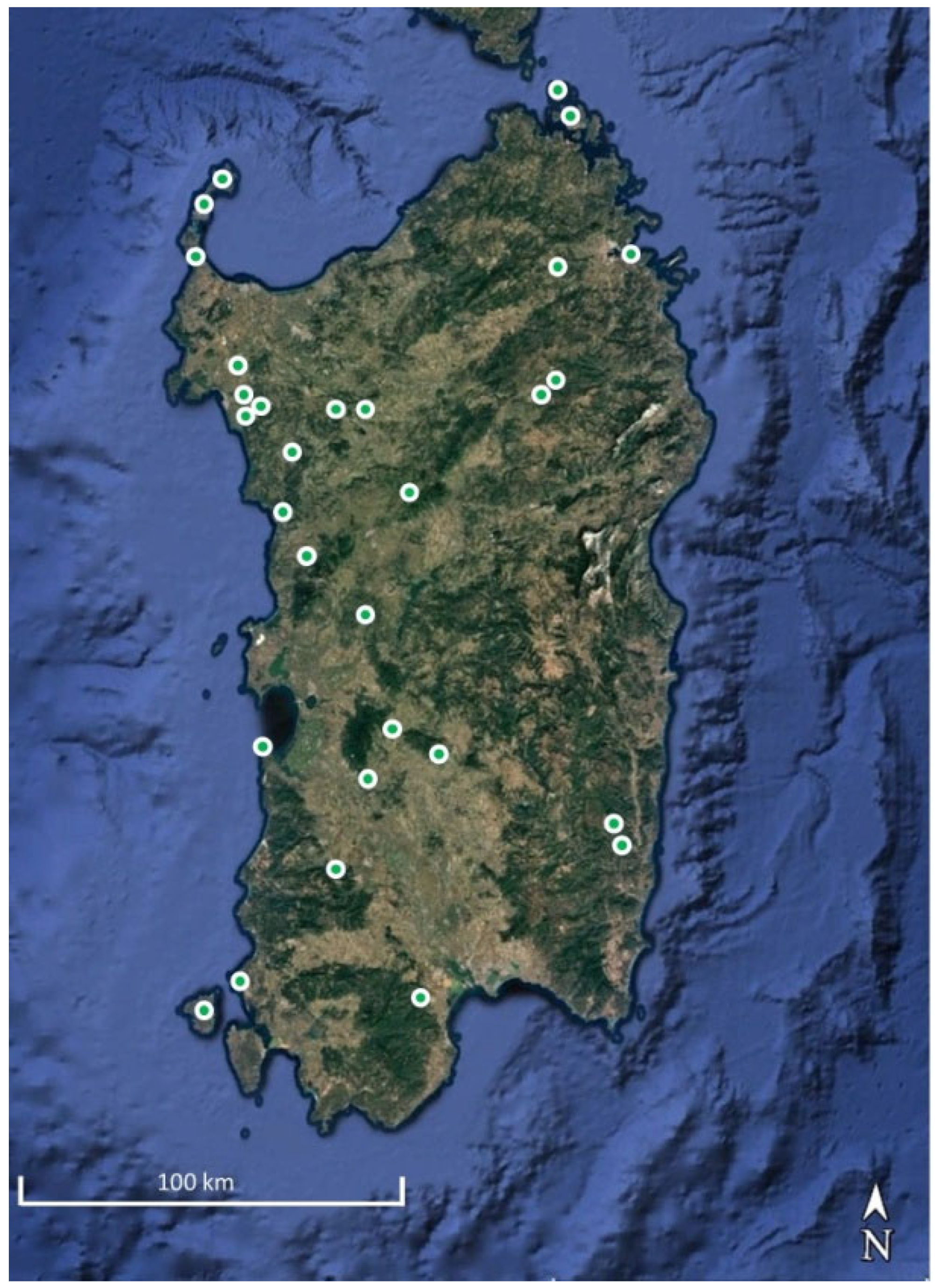 Plants 14 02187 g003