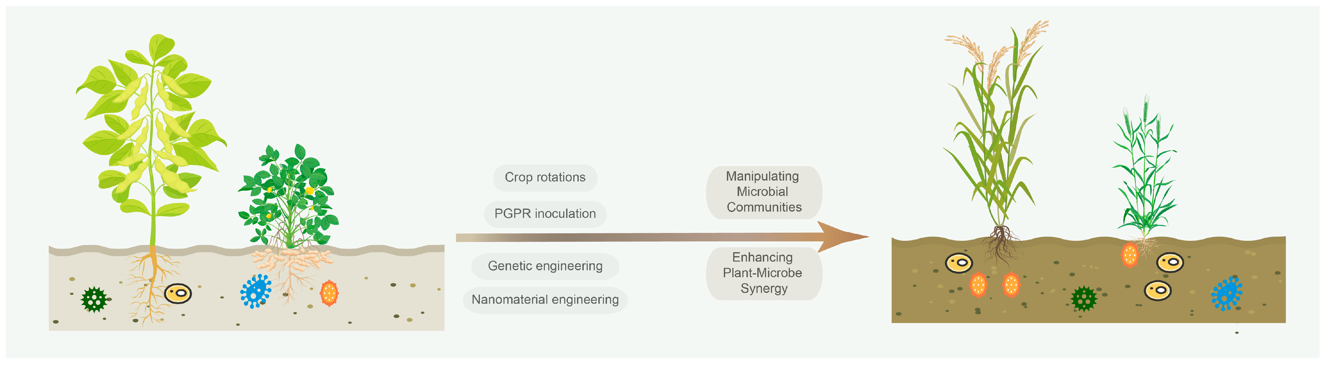 Plants 14 02197 g001