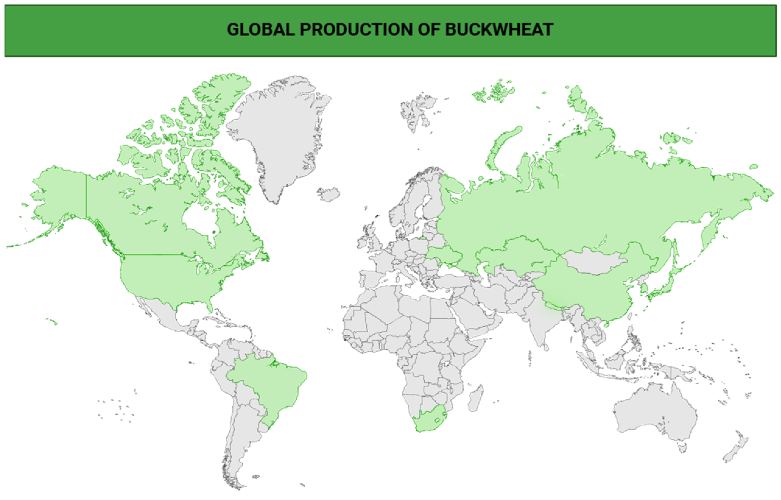 Plants 14 02200 g001