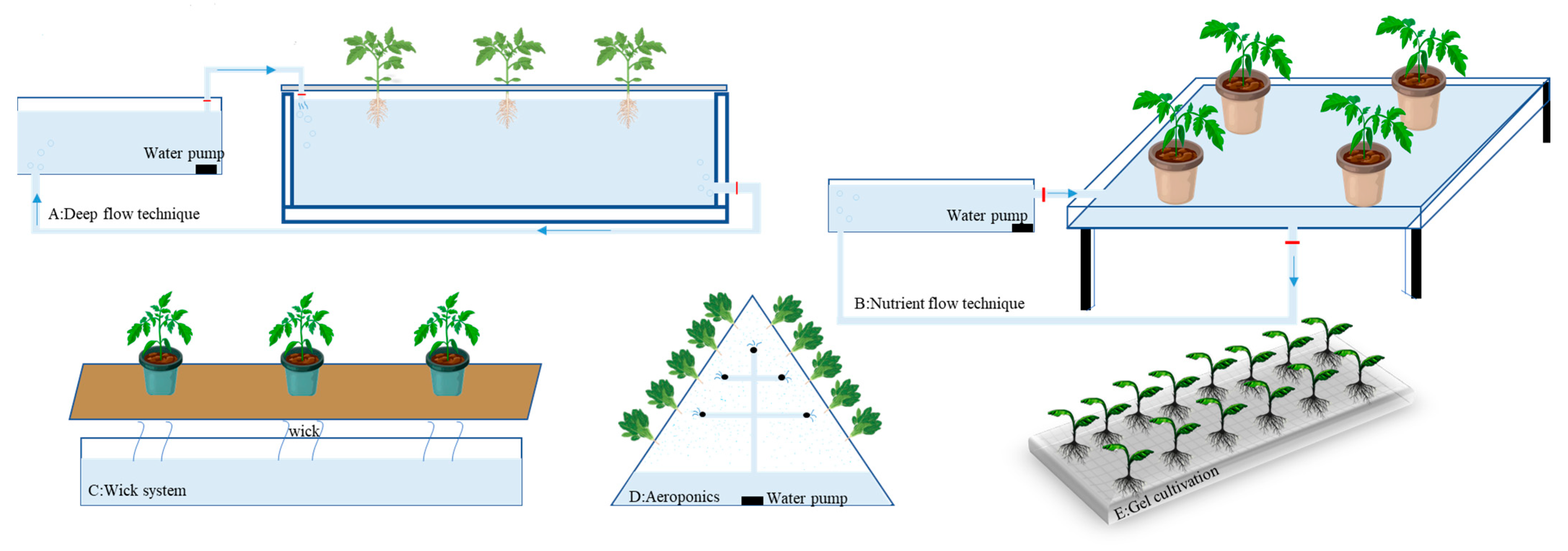 Soilless Cultivation: Precise Nutrient Provision and Growth Environment ...