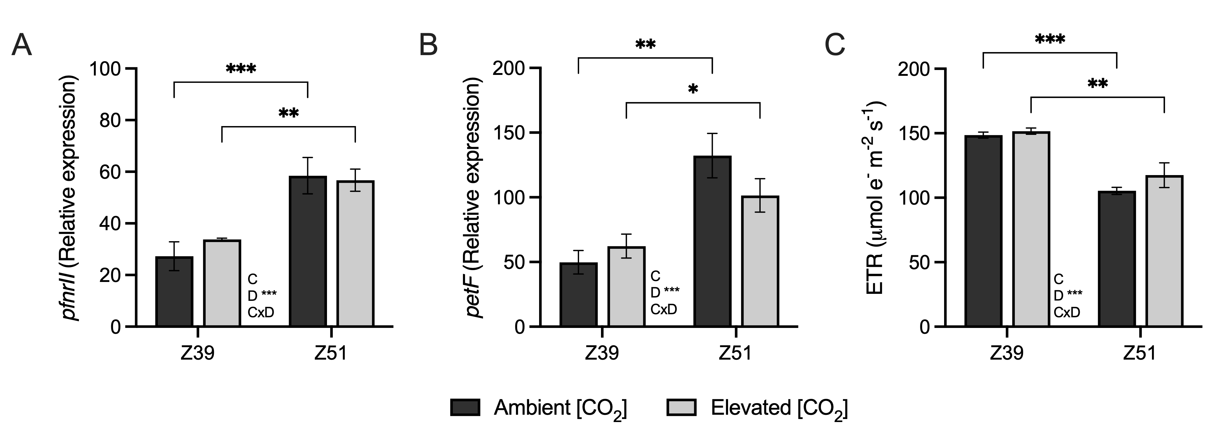 Plants 14 02224 g002