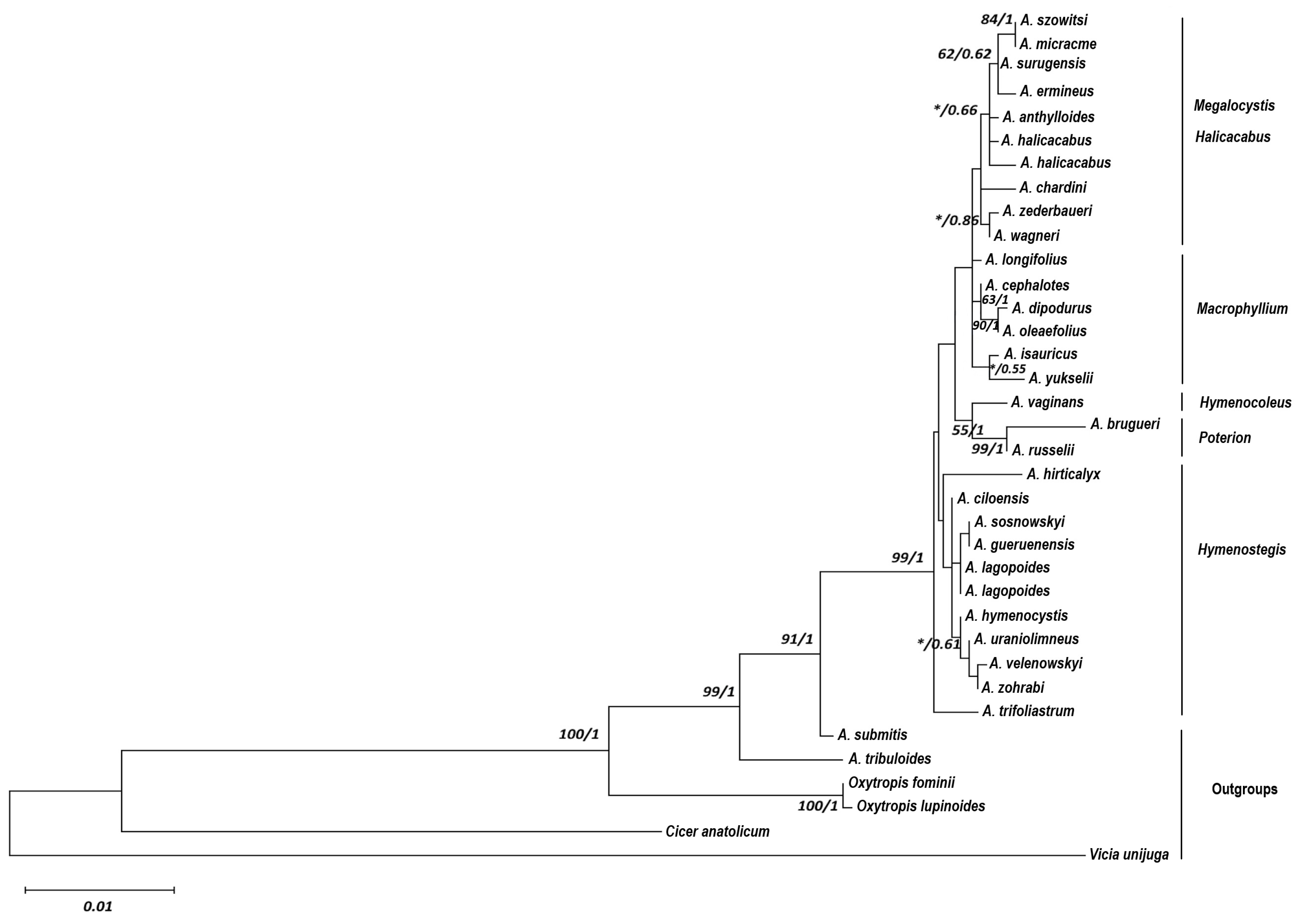 Plants 14 02226 g001