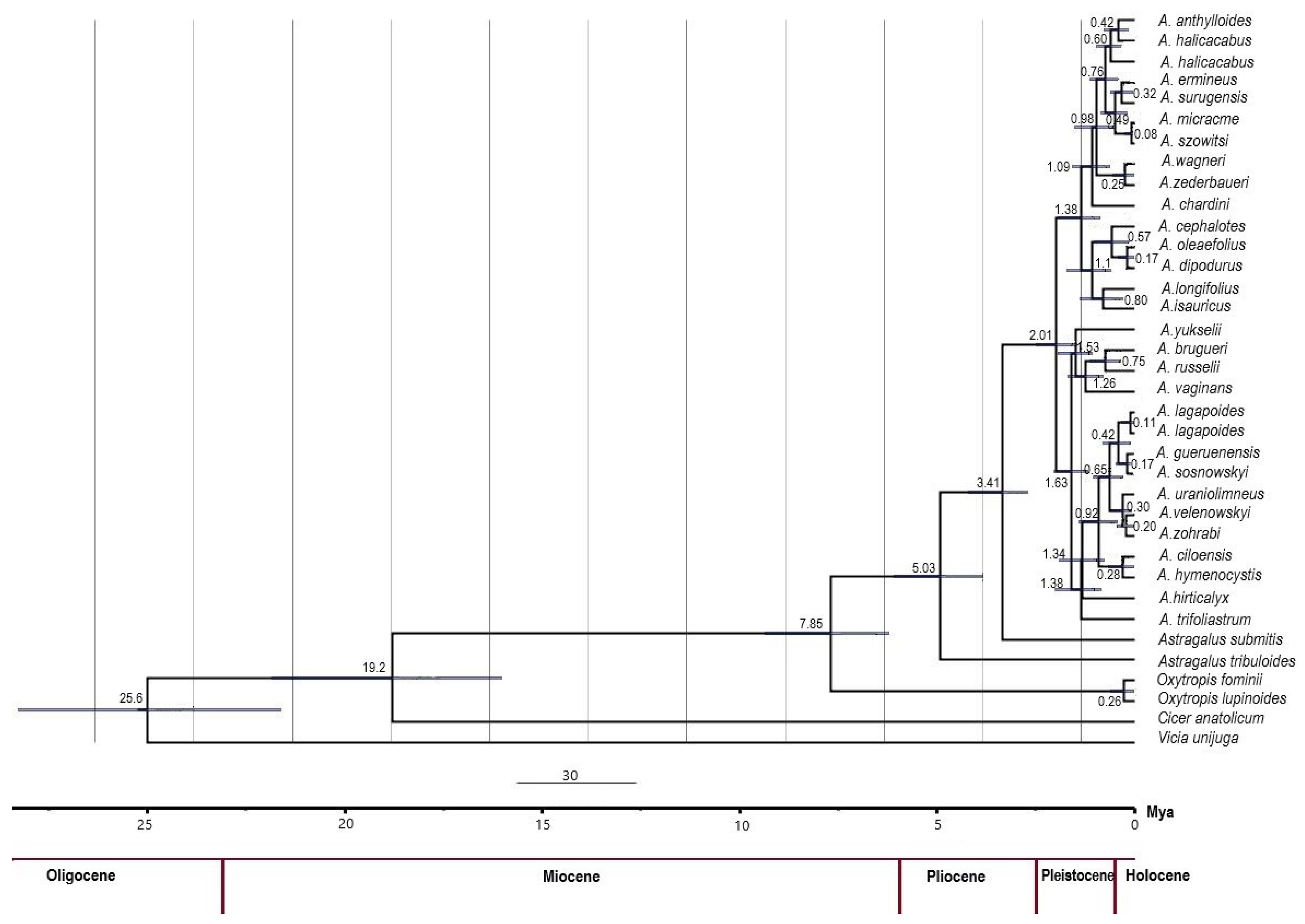Plants 14 02226 g003