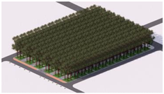 Plants 14 02228 i001