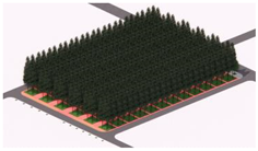 Plants 14 02228 i002