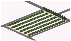 Plants 14 02228 i004