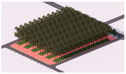 Plants 14 02228 i005