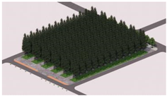 Plants 14 02228 i006