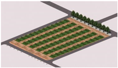 Plants 14 02228 i008