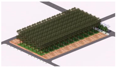 Plants 14 02228 i009