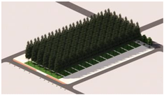 Plants 14 02228 i010