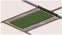 Plants 14 02228 i011