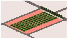 Plants 14 02228 i012