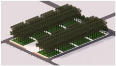 Plants 14 02228 i013