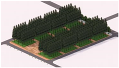 Plants 14 02228 i014