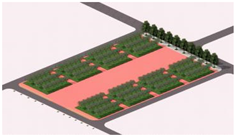 Plants 14 02228 i015