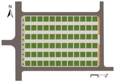 Plants 14 02228 i017