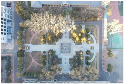 Plants 14 02228 i029