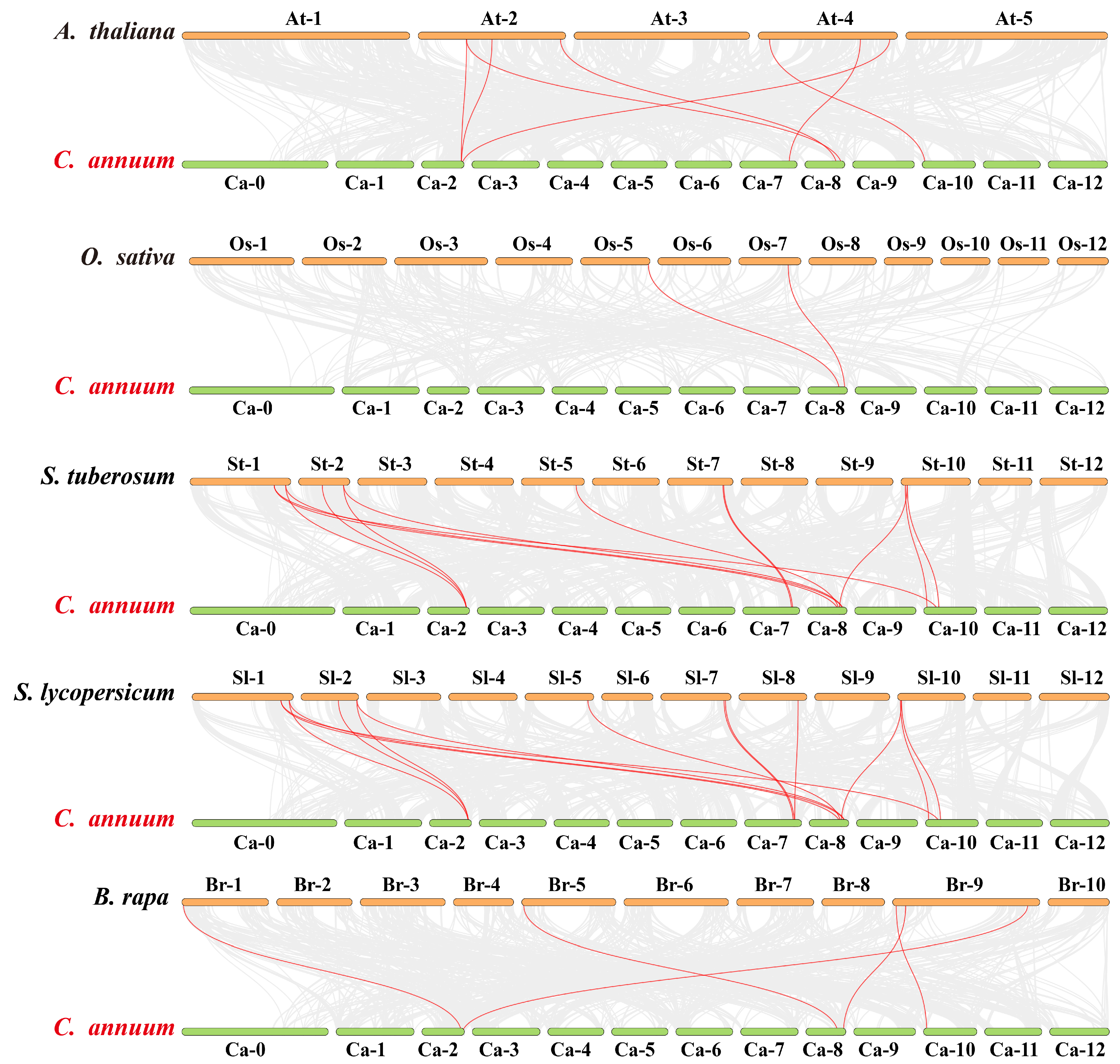Plants 14 02231 g002