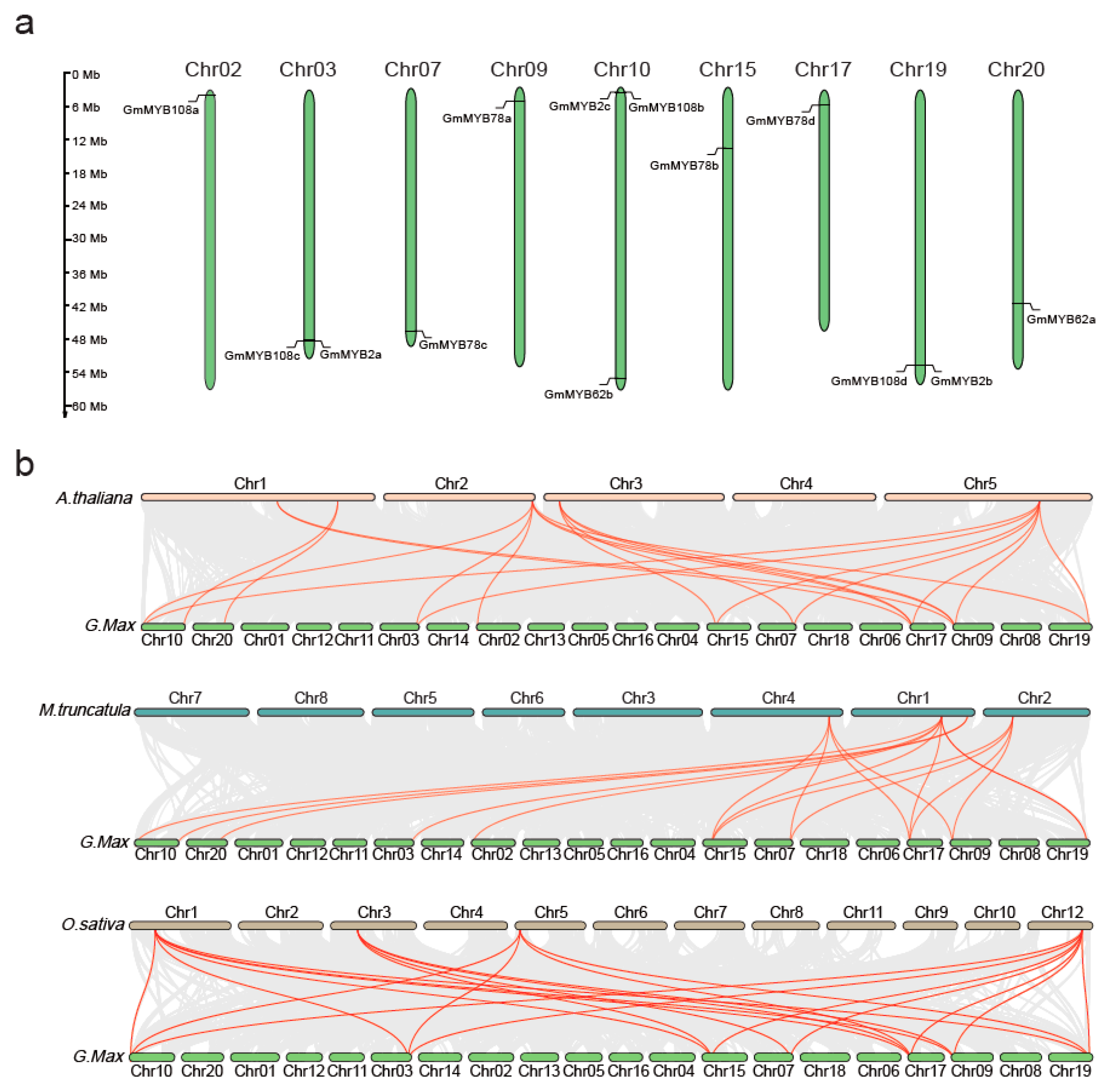 Plants 14 02240 g002